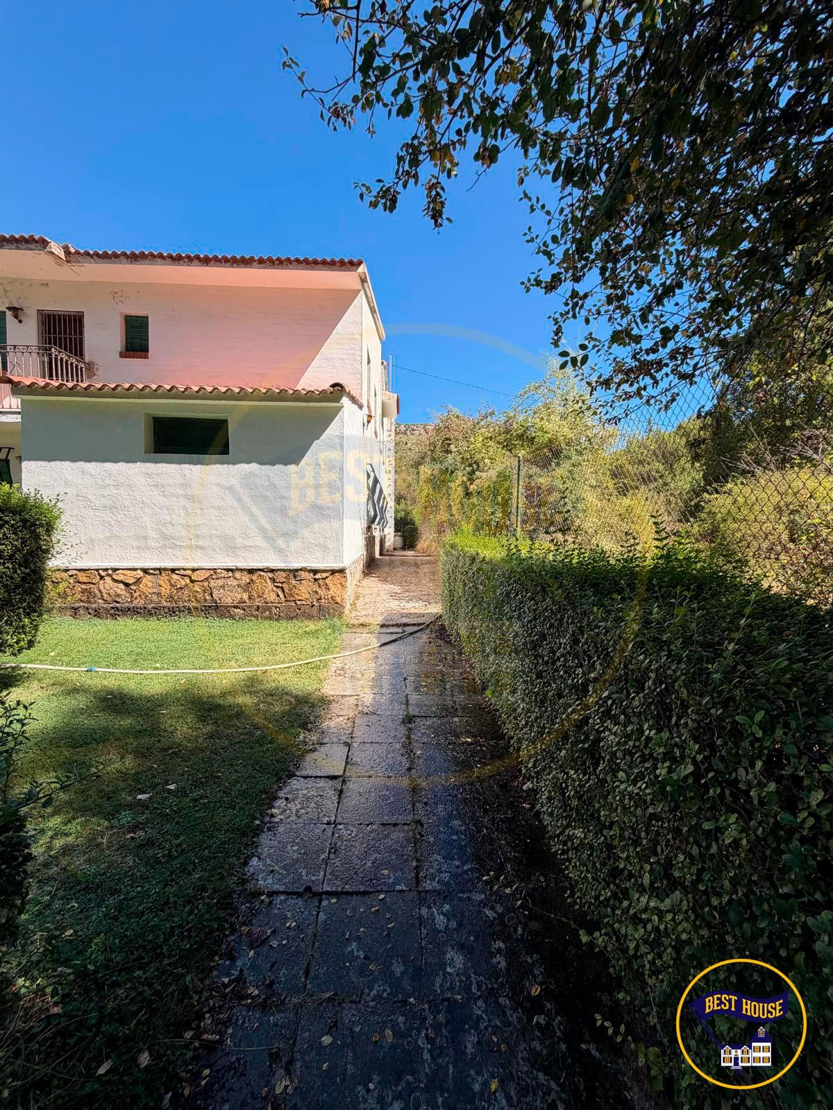 FINCA RUSTICA EN PALOMERA - foto 4