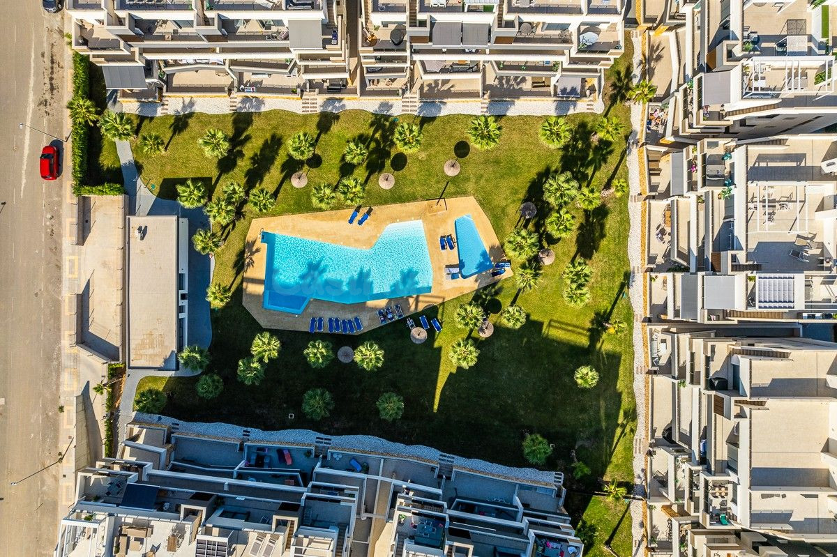 Ático 2 habitaciones 78m² en venta - Lomas de Cabo Roig - foto 3