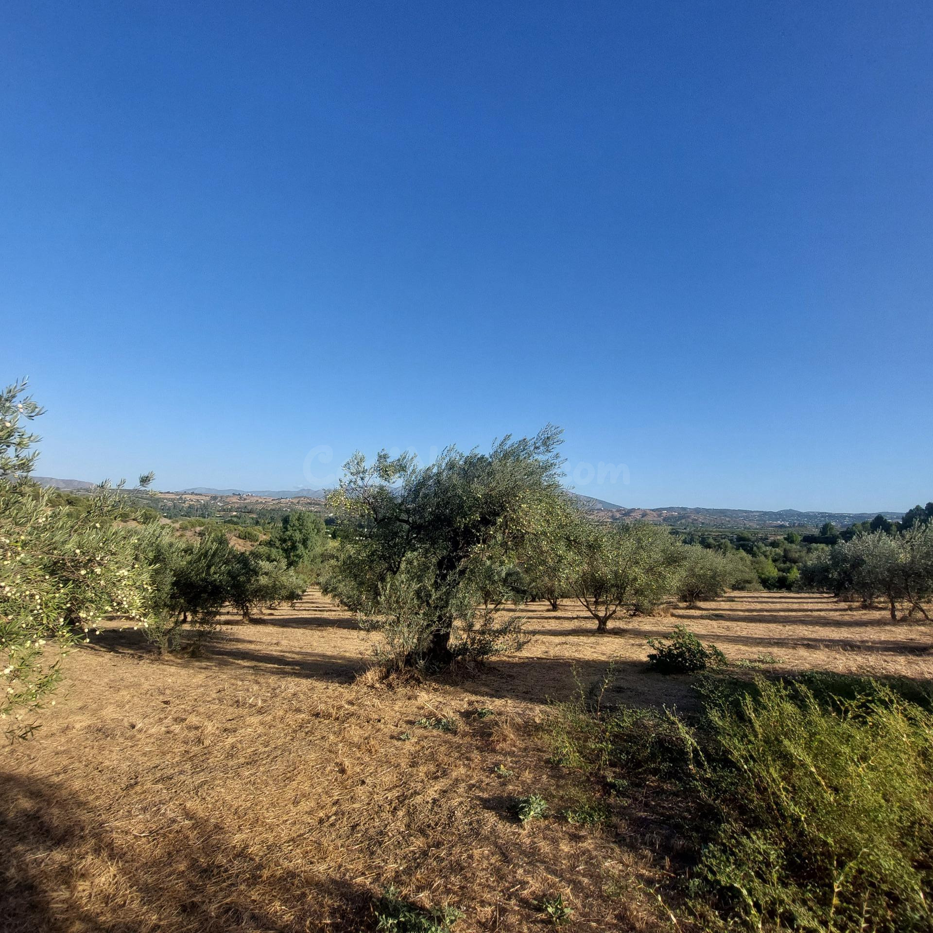 MÁGNIFICA FINCA RÚSTICA EN COIN - foto 2