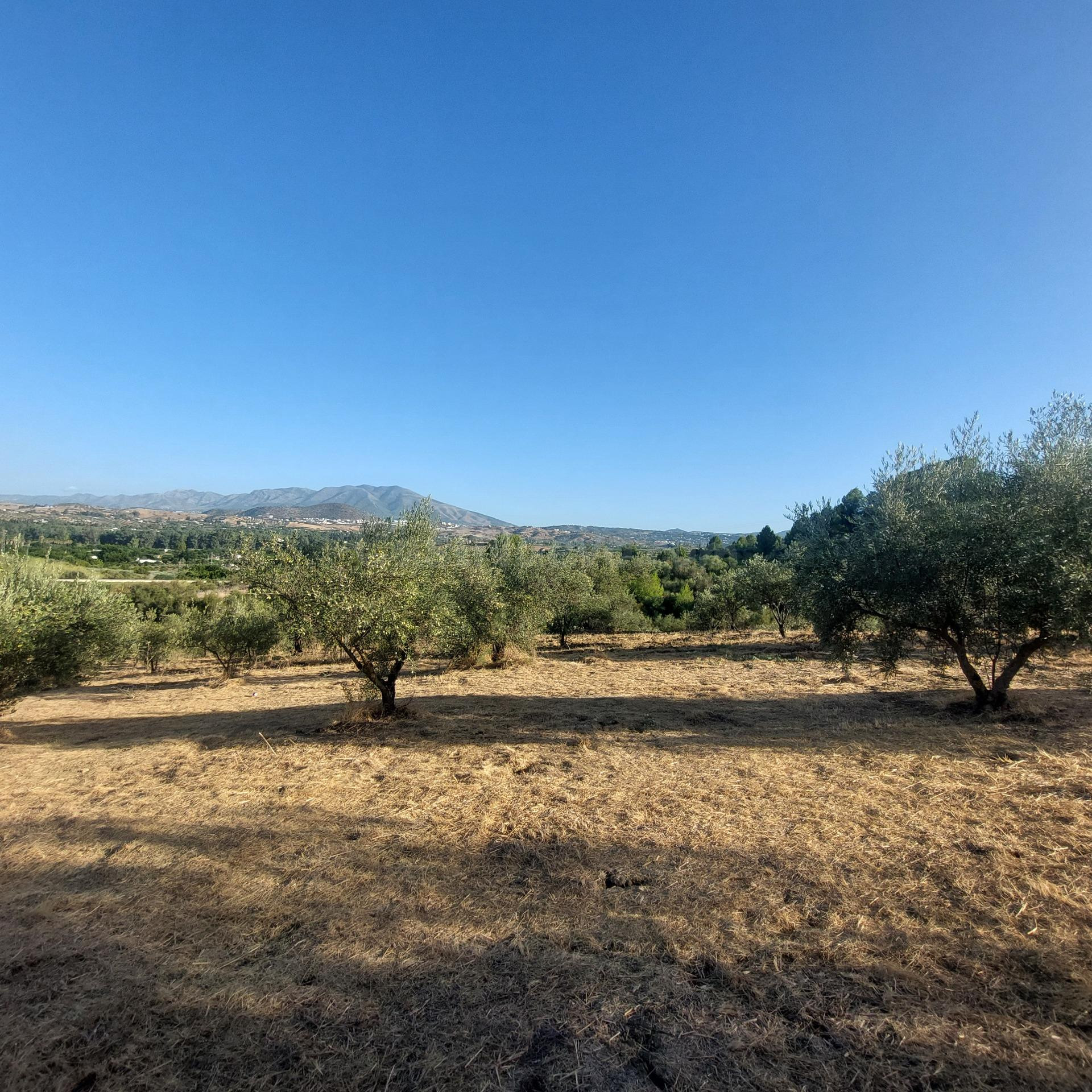 MÁGNIFICA FINCA RÚSTICA EN COIN - foto 3