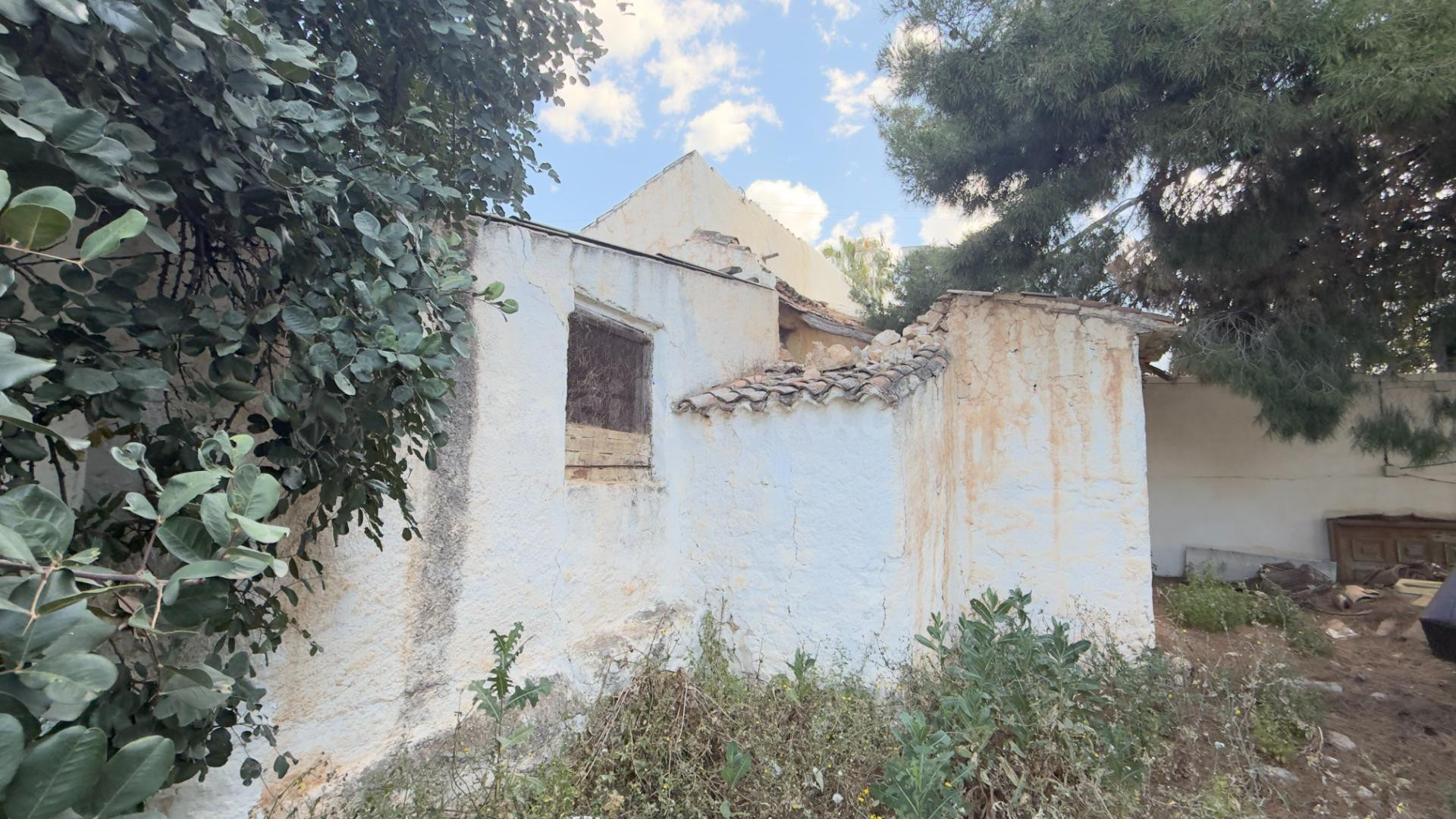 Finca en Alcaucín con casa urbana a reformar, 8.700 m2 produ - foto 2