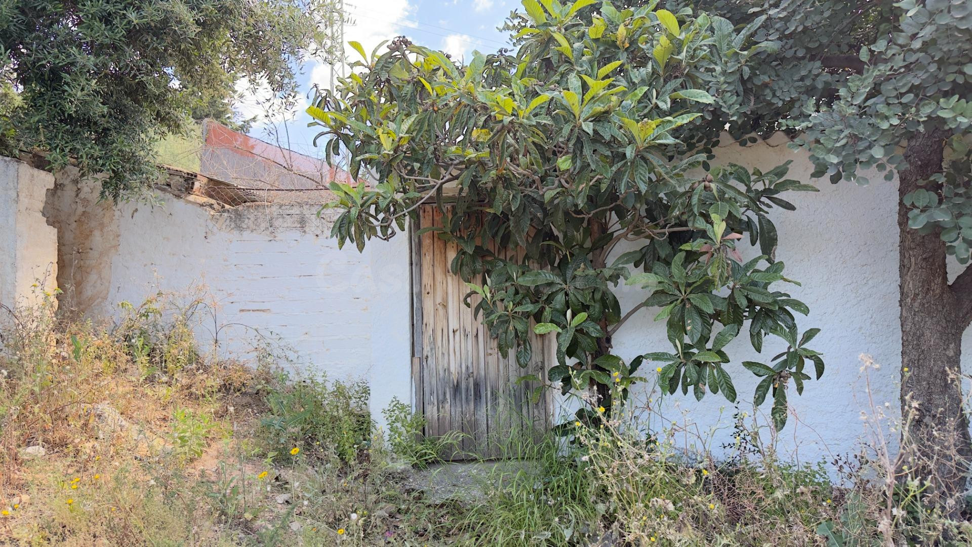 Finca en Alcaucín con casa urbana a reformar, 8.700 m2 produ - foto 3