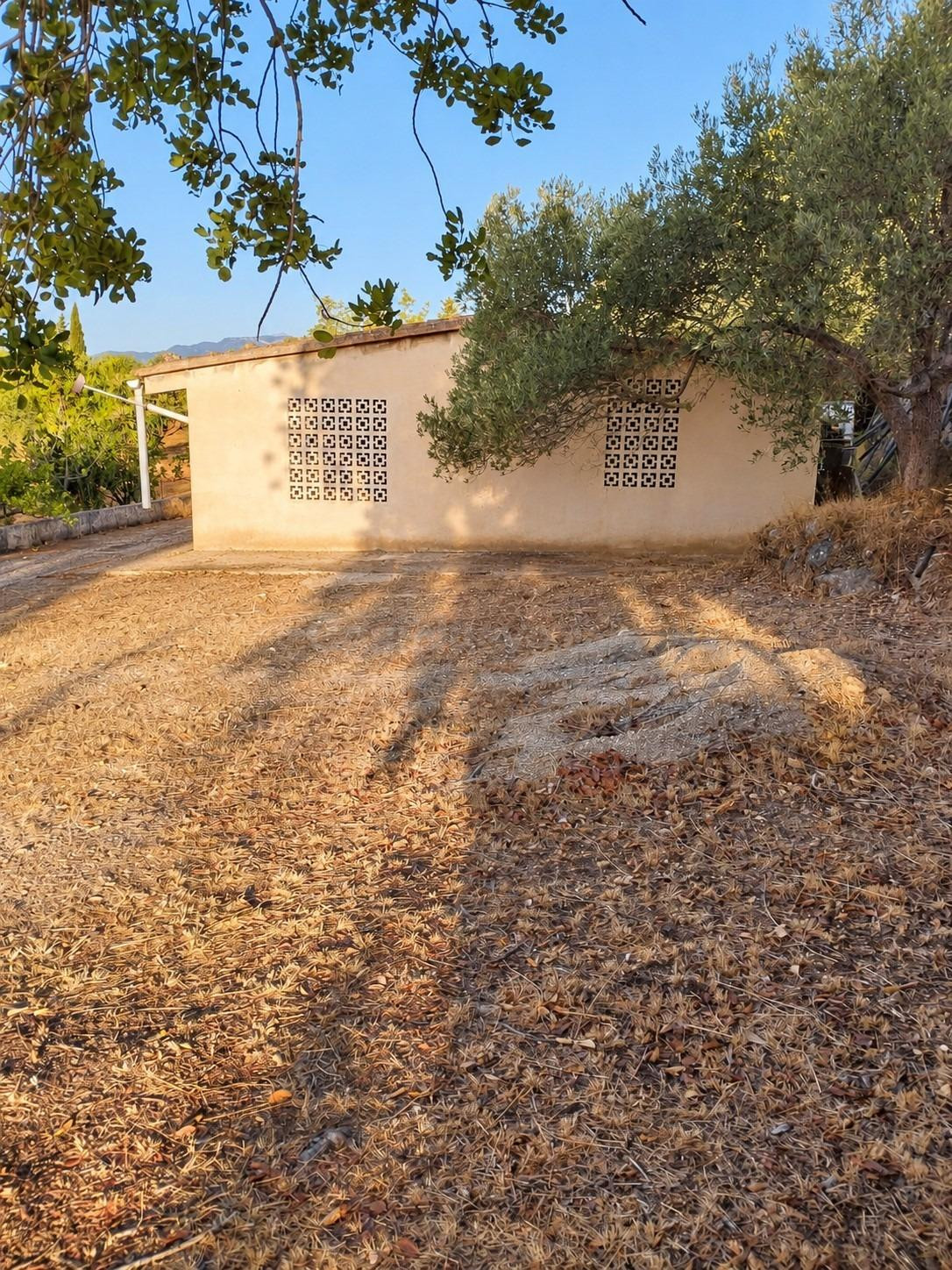Finca rústica en Bunyola con caseta de aperos y más de 13.00 - foto 2
