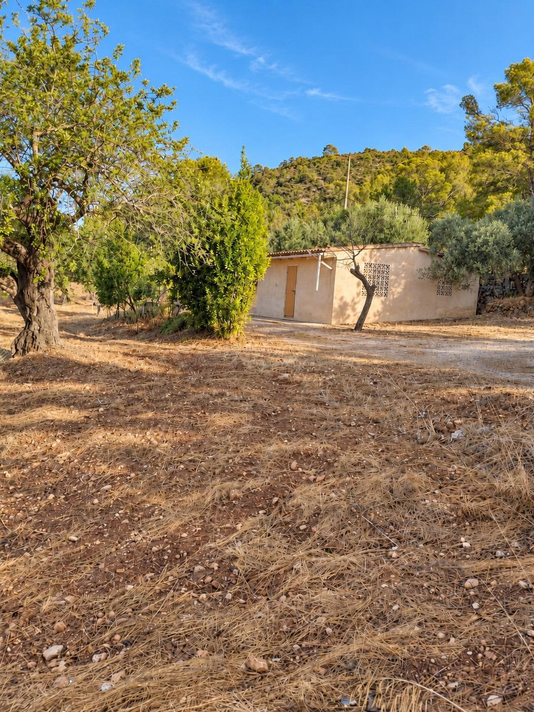 Finca rústica en Bunyola con caseta de aperos y más de 13.00 - foto 3
