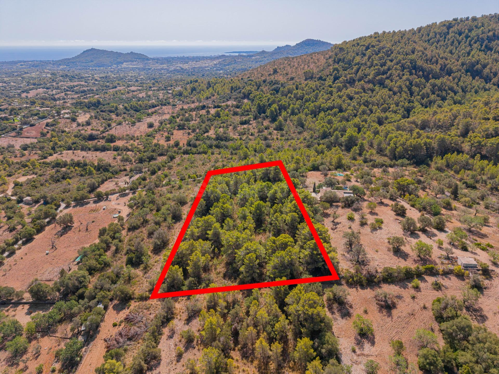 Terreno agrícola de 9.210 m2 en Son Servera, Mallorca - foto 2