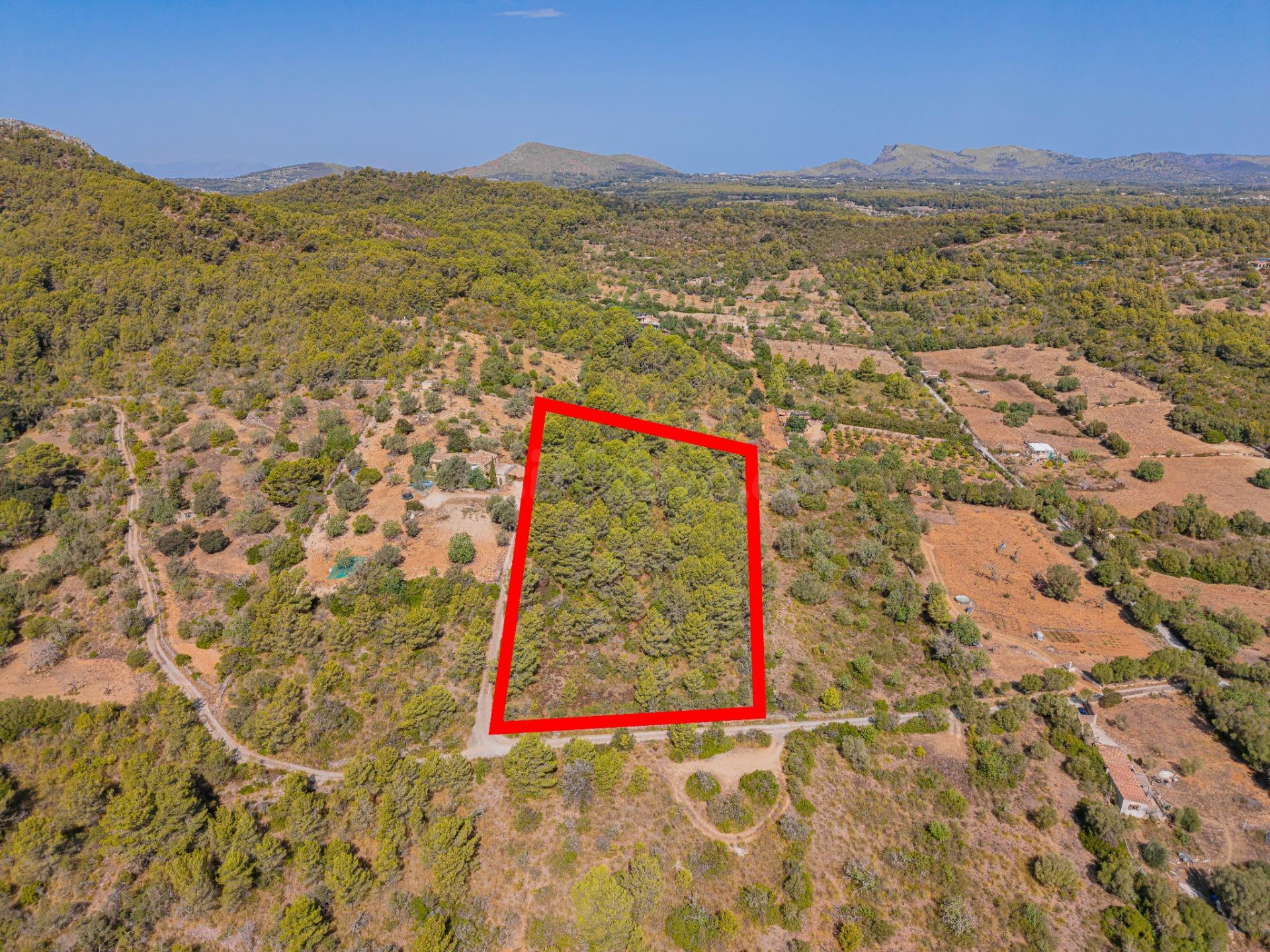 Terreno agrícola de 9.210 m2 en Son Servera, Mallorca - foto 3
