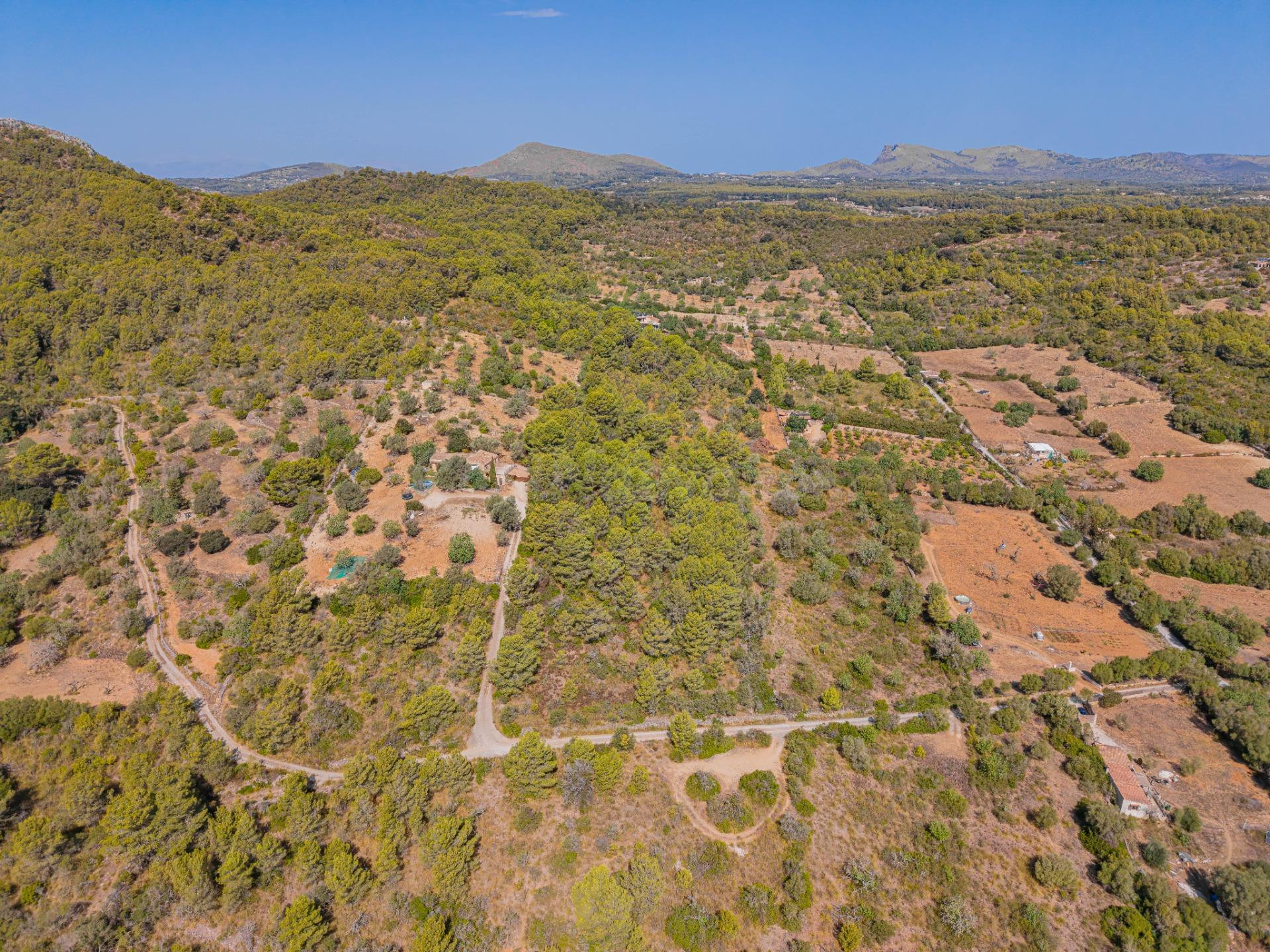 Terreno agrícola de 9.210 m2 en Son Servera, Mallorca - foto 4