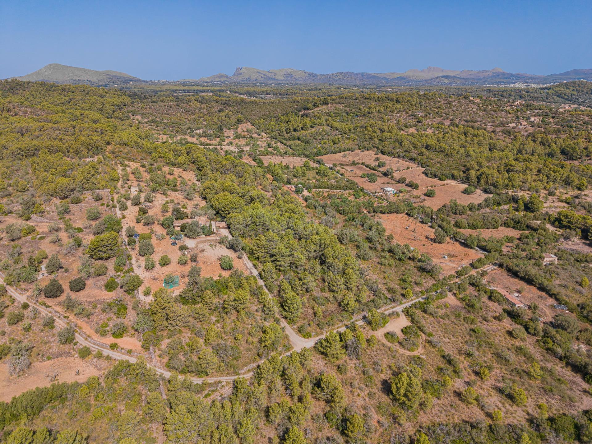 Terreno agrícola de 9.210 m2 en Son Servera, Mallorca - foto 5