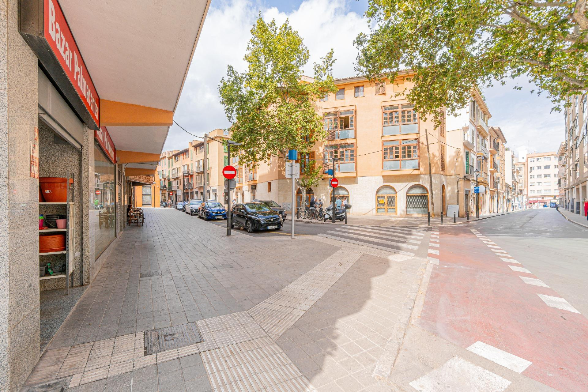 Amplio Local Comercial en Palma de Mallorca - Zona Escola Gr - foto 4