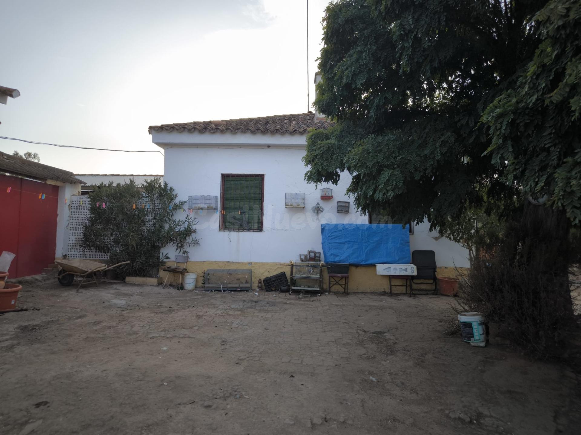 Finca Rustica en Peñarroya-Pueblonuevo
