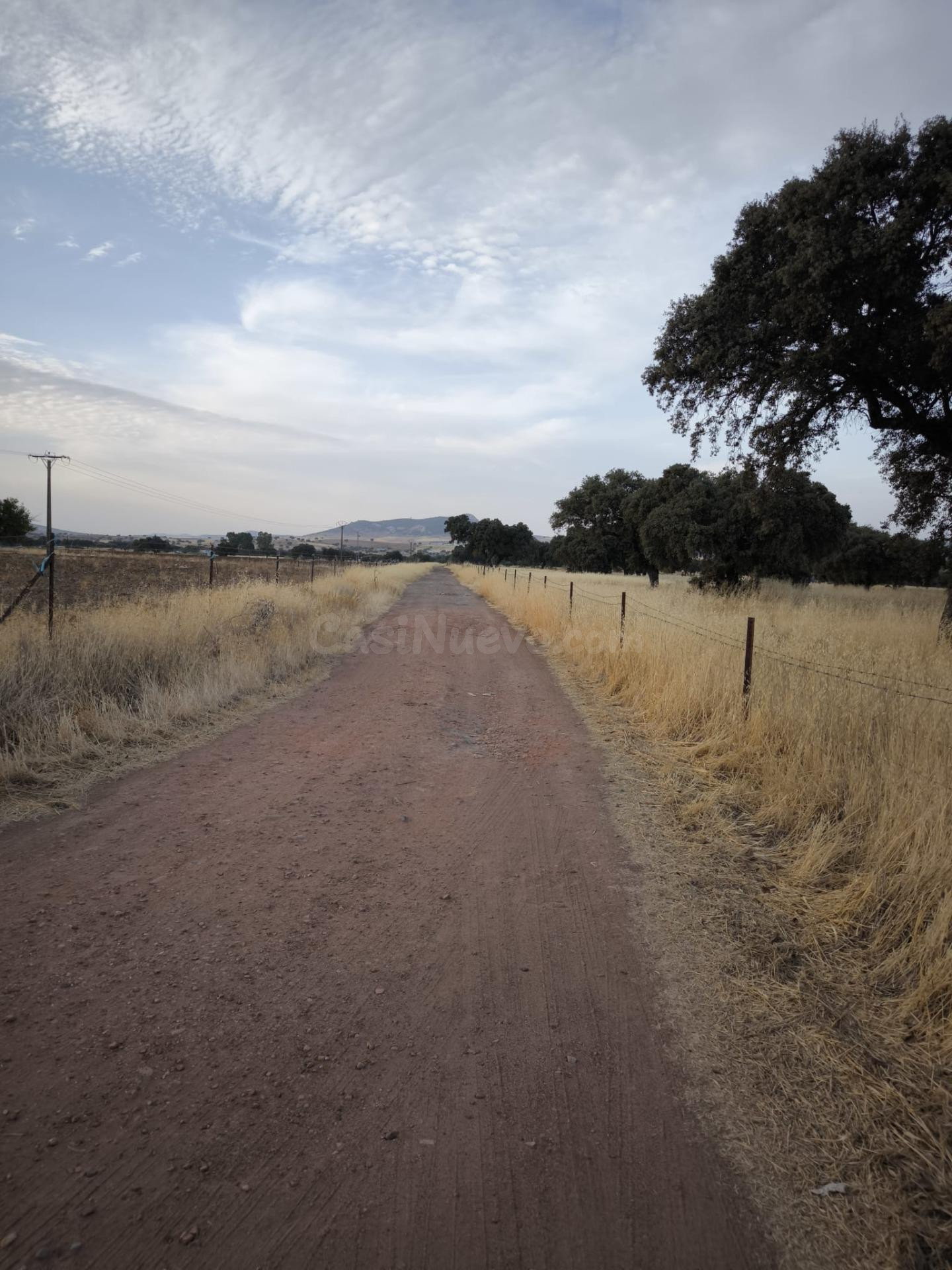 Finca Rustica en Peñarroya-Pueblonuevo - foto 3