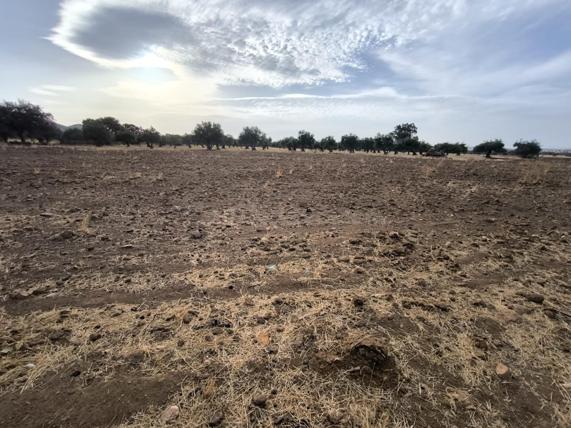 Finca Rustica en Peñarroya-Pueblonuevo - foto 4