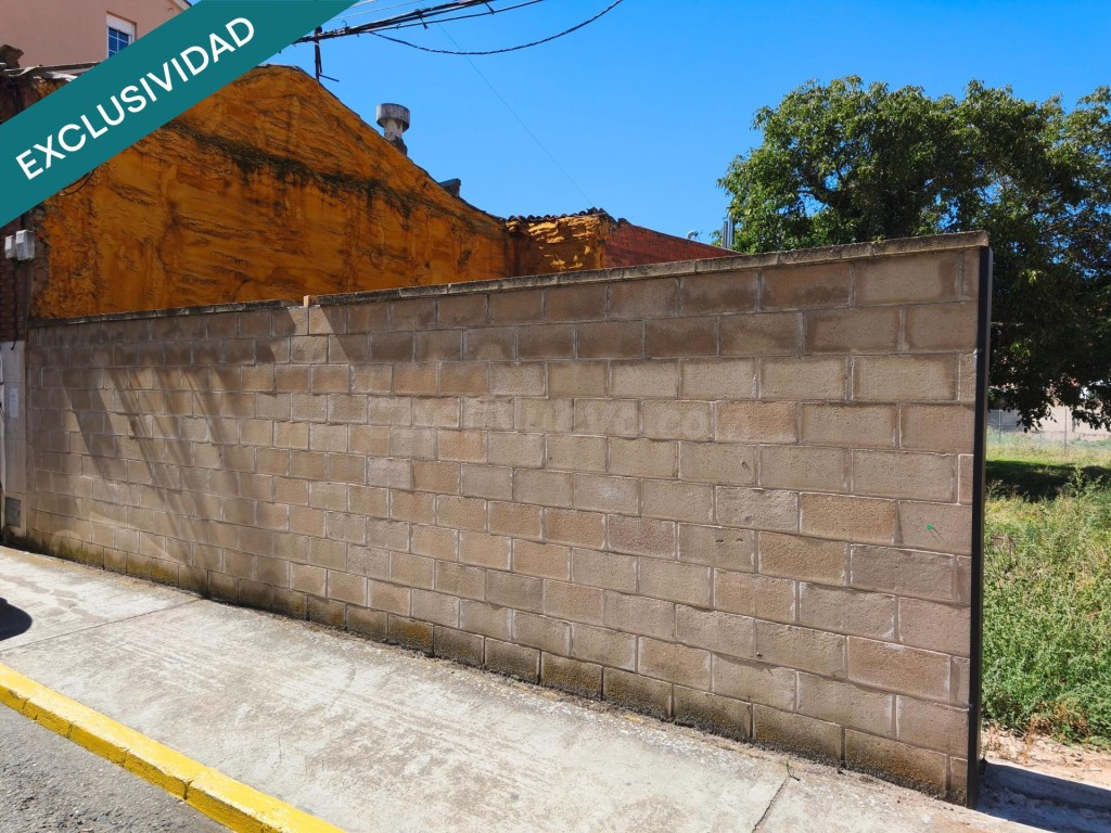 FINCA CÉNTRICA URBANIZABLE EN VEGUELLINA DE ÓRBIGO - foto 5