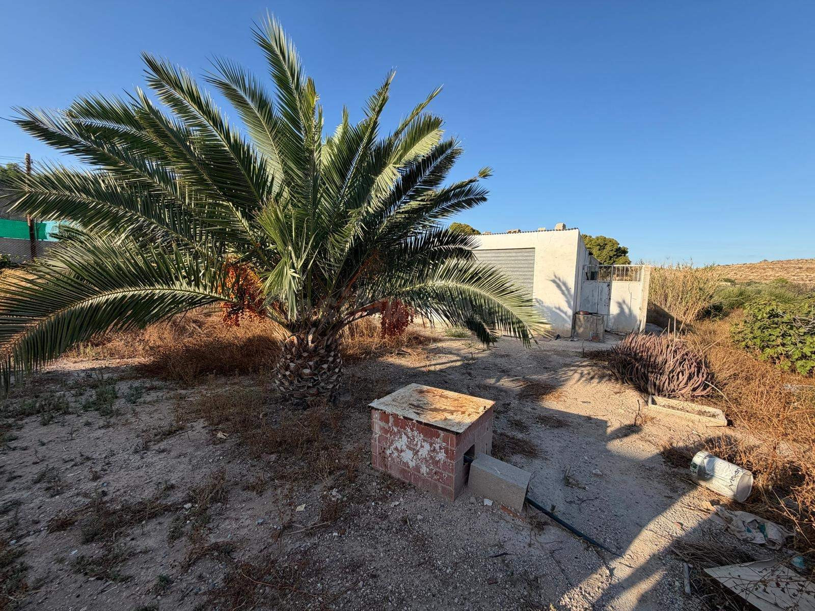 Encantadora Casa en Mutxamel con Amplio Terreno y Piscina - foto 4