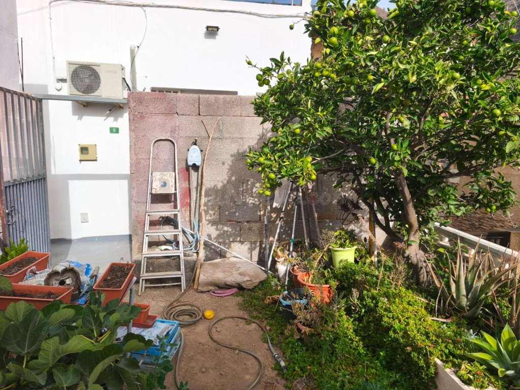 CASA TERRERA CON JARDÍN EN IGUESTE DE CANDELARIA, TENERIFE,  - foto 3