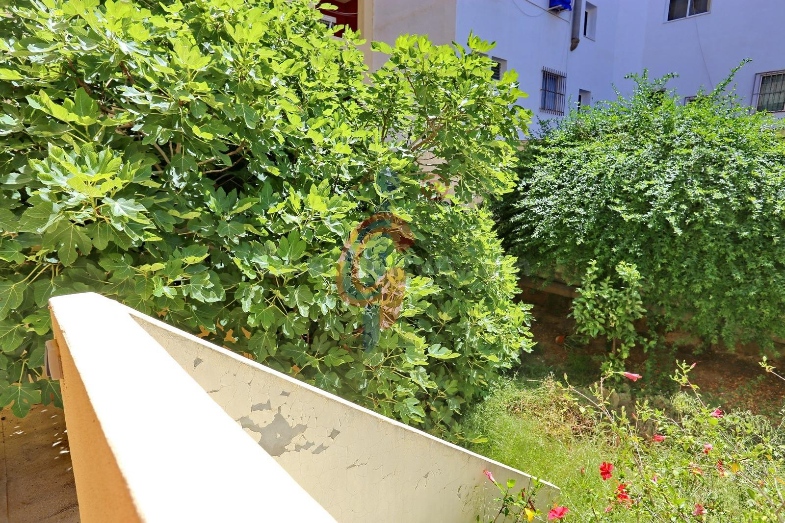 ¡Local comercial en venta en Guardamar del Segura! - foto 2