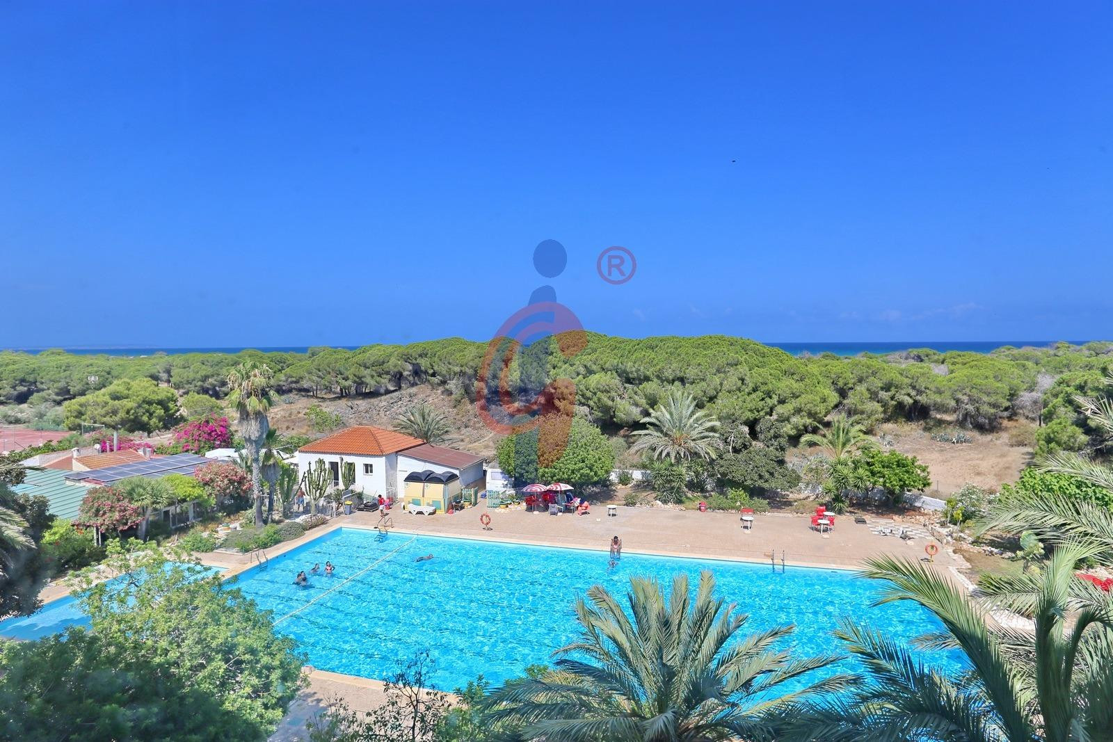 ¡Apartamento en Pinomar con vistas frontales al mar y a la P - foto 5