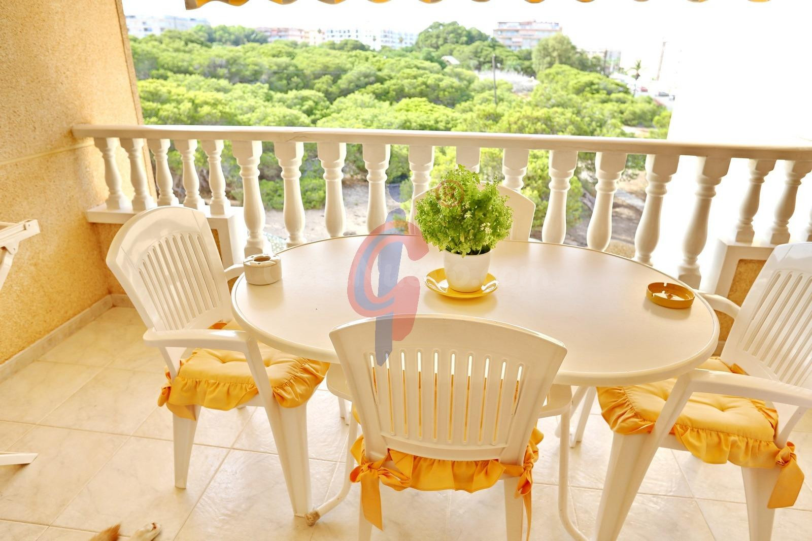 ¡Ático dúplex a la venta en el Pinar de Guardamar! - foto 2
