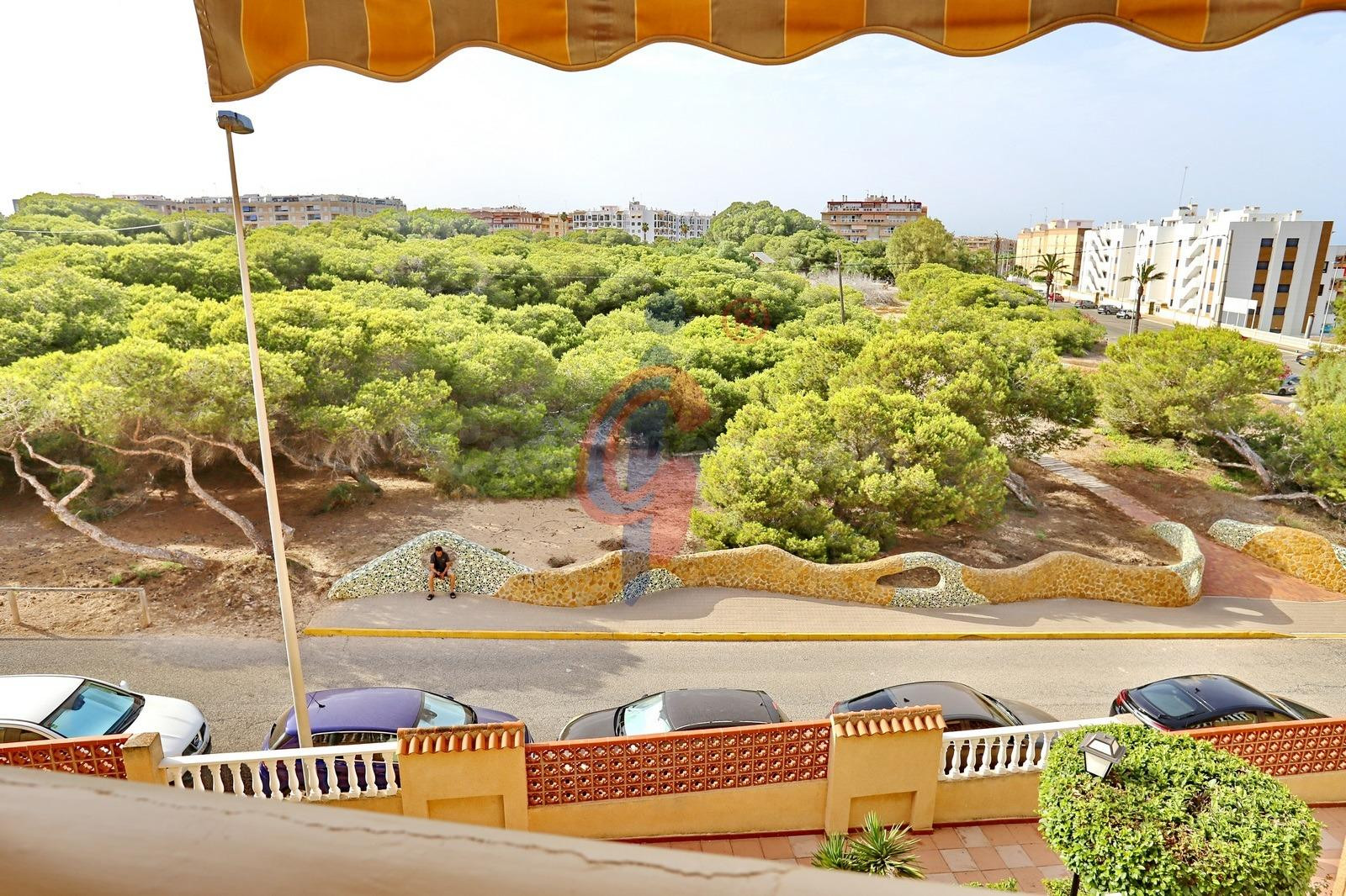 ¡Ático dúplex a la venta en el Pinar de Guardamar! - foto 4
