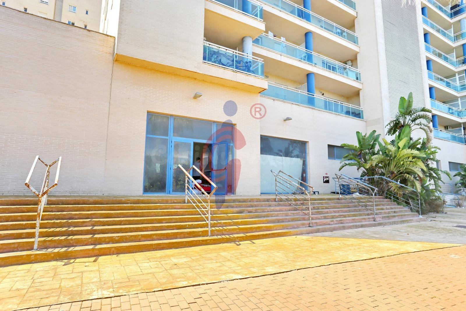 Local en venta de 908 metros cuadrados, Guardamar del Segura - foto 5