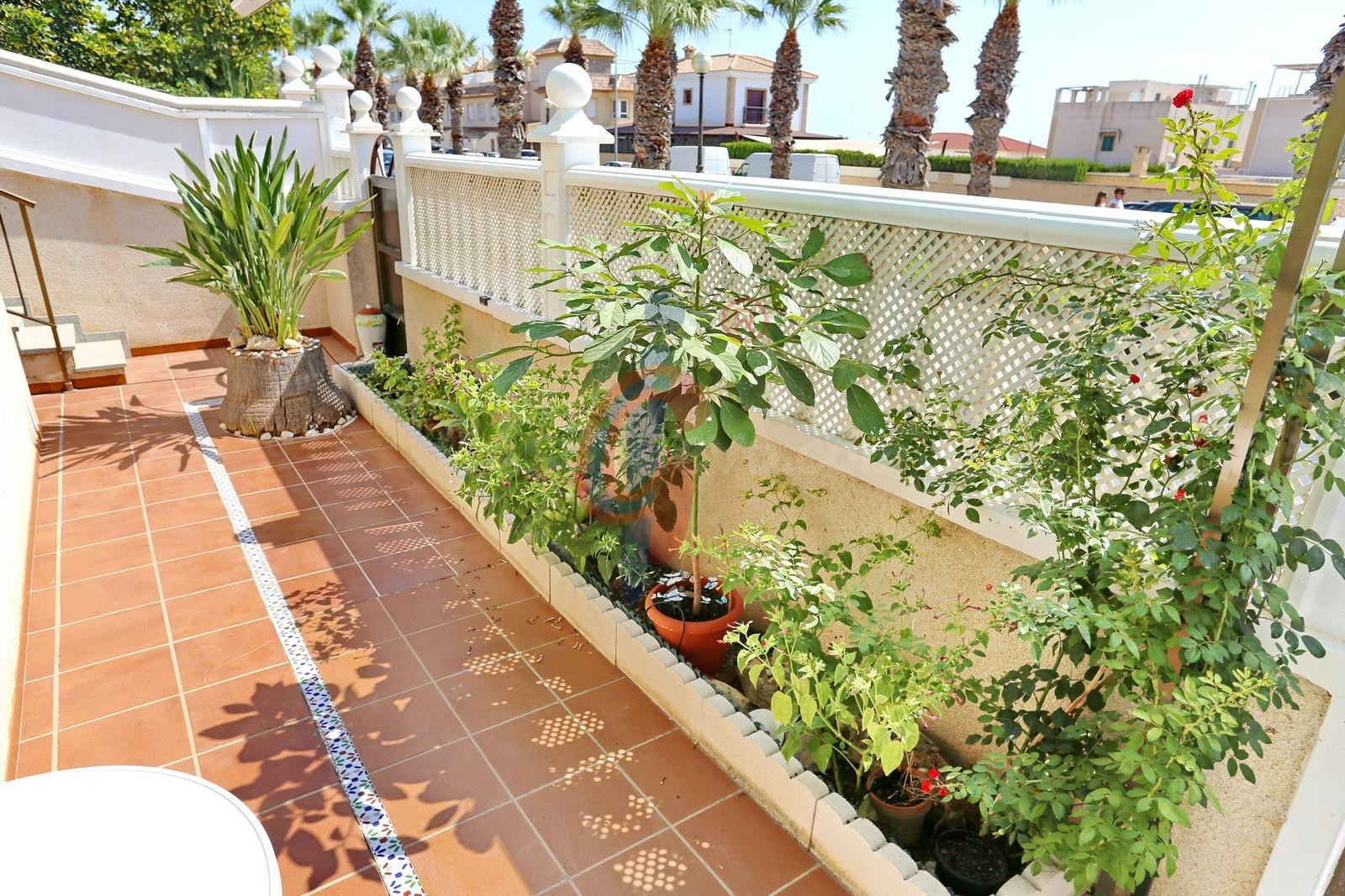 DÚPLEX EN PLANTA BAJA EN LAS VIÑAS III, GUARDAMAR DEL SEGURA - foto 5