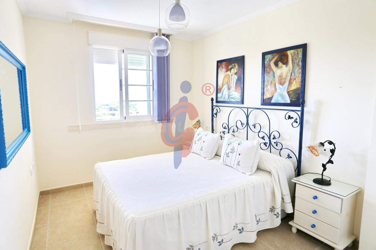 ¡Octava planta en venta en el SUP-7 de Guardamar del Segura, - foto 3