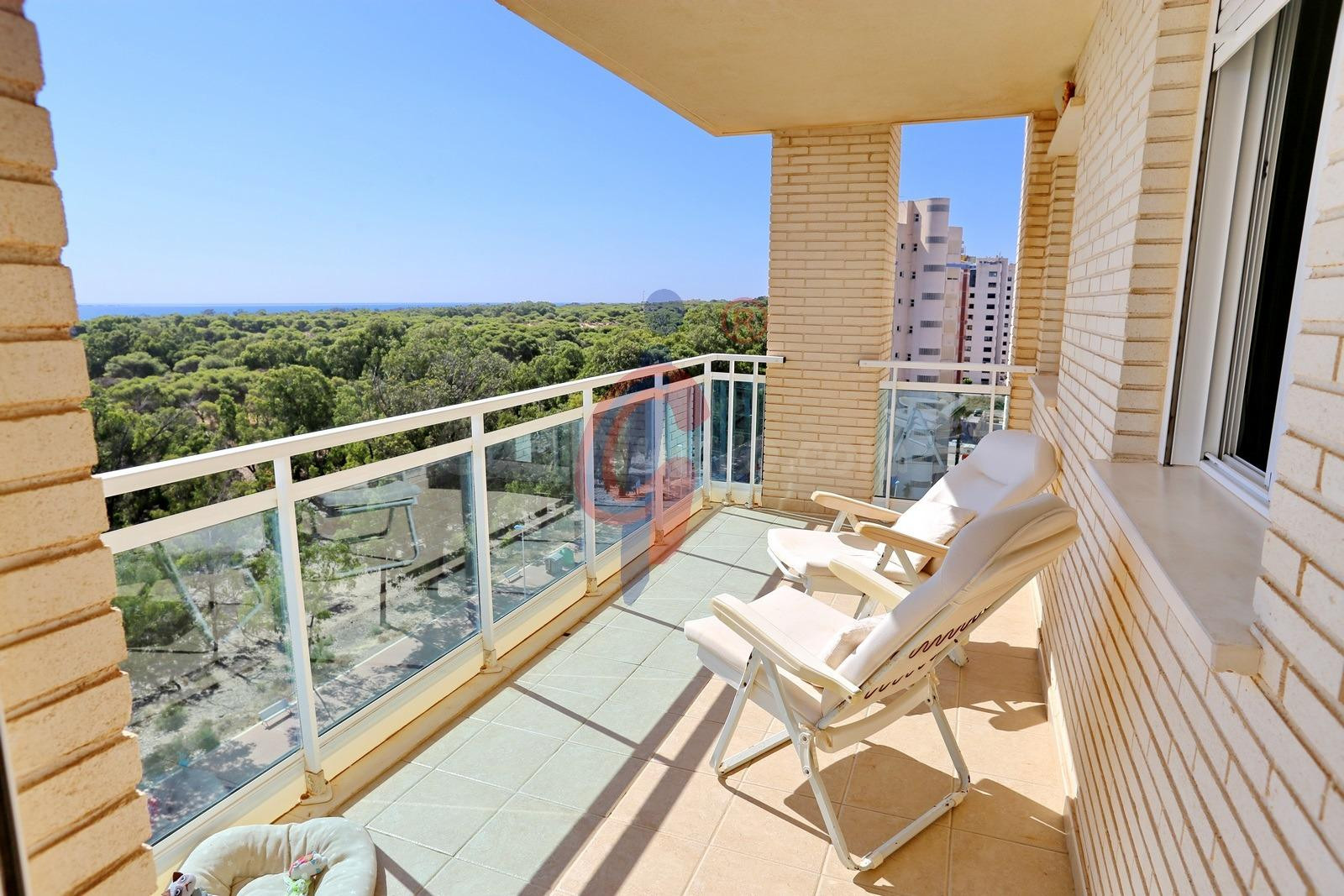 ¡Octava planta en venta en el SUP-7 de Guardamar del Segura, - foto 5