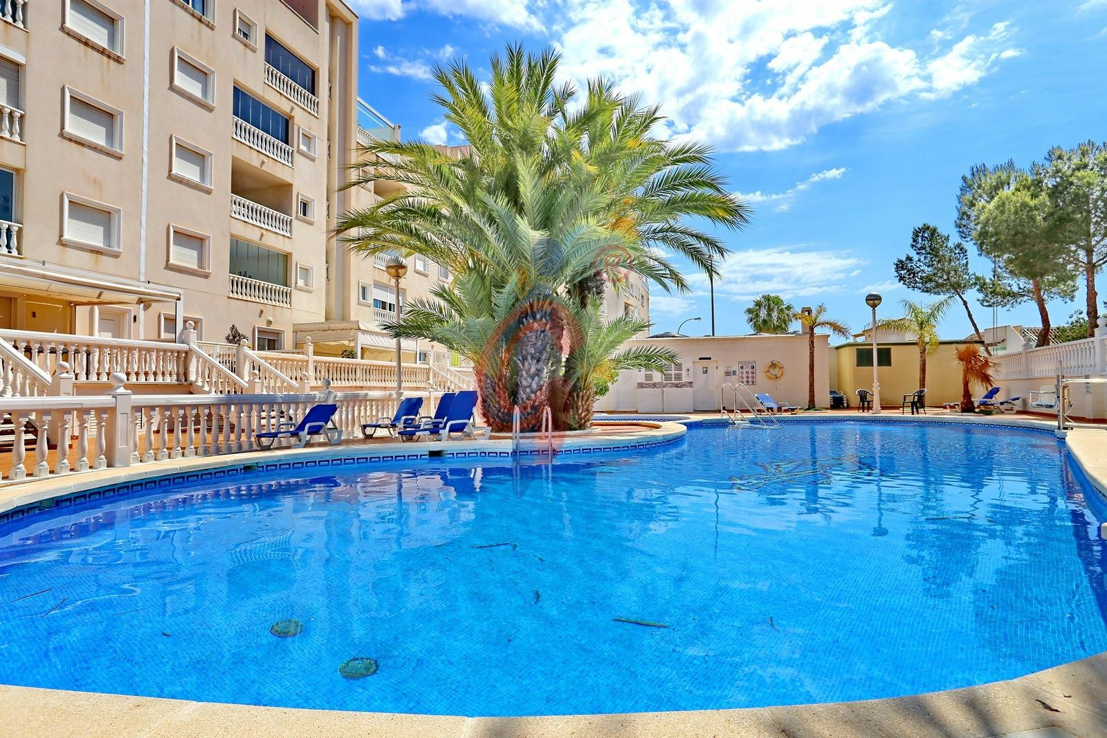 Ático en alquiler anual en el Conjunto de apartamentos turís