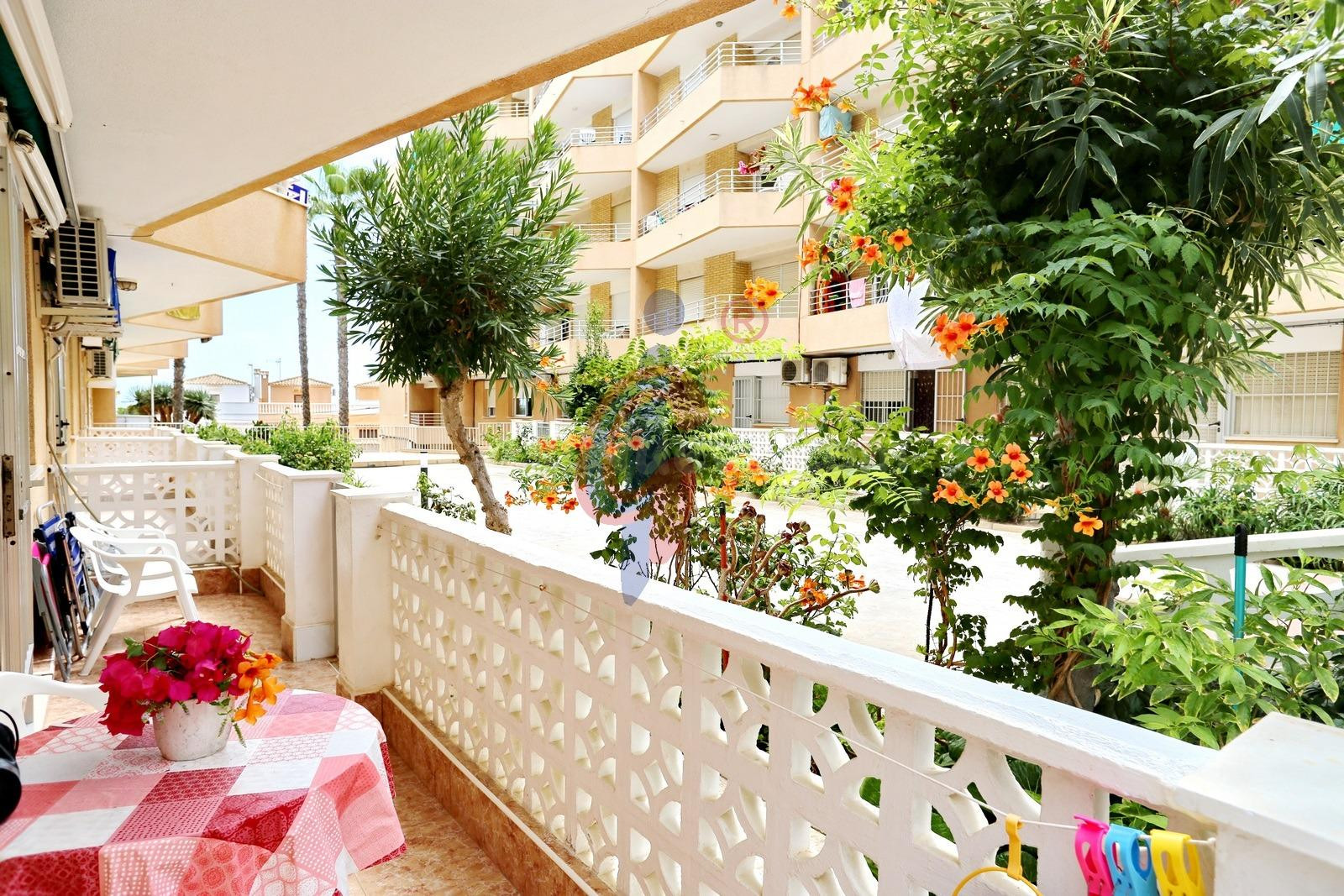 ✨ Tu hogar junto al mar, en el corazón de Guardamar: planta  - foto 5