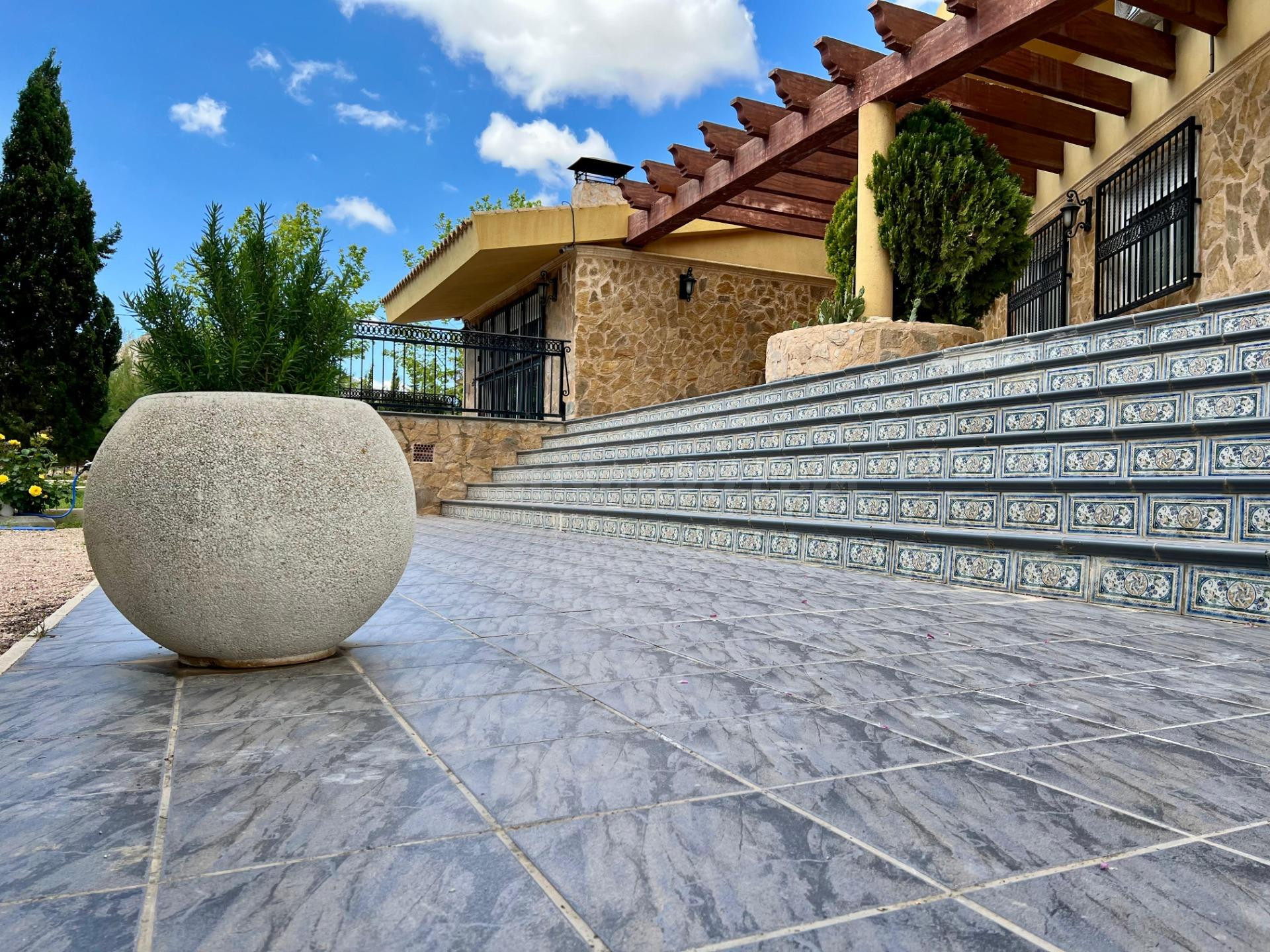 FINCA CON CHALET SAX - foto 2