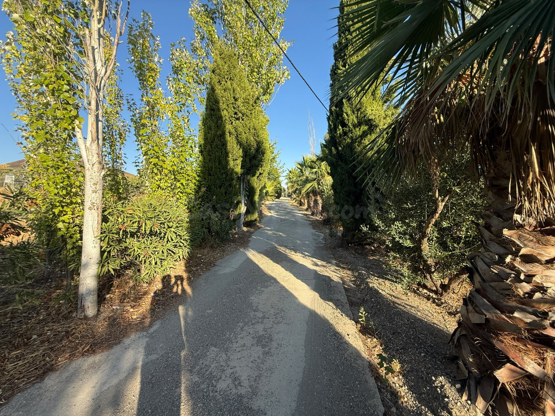 ESPECTACULAR CASA DE CAMPO CON PISCINA EN COLMENAR ☀️ - foto 5