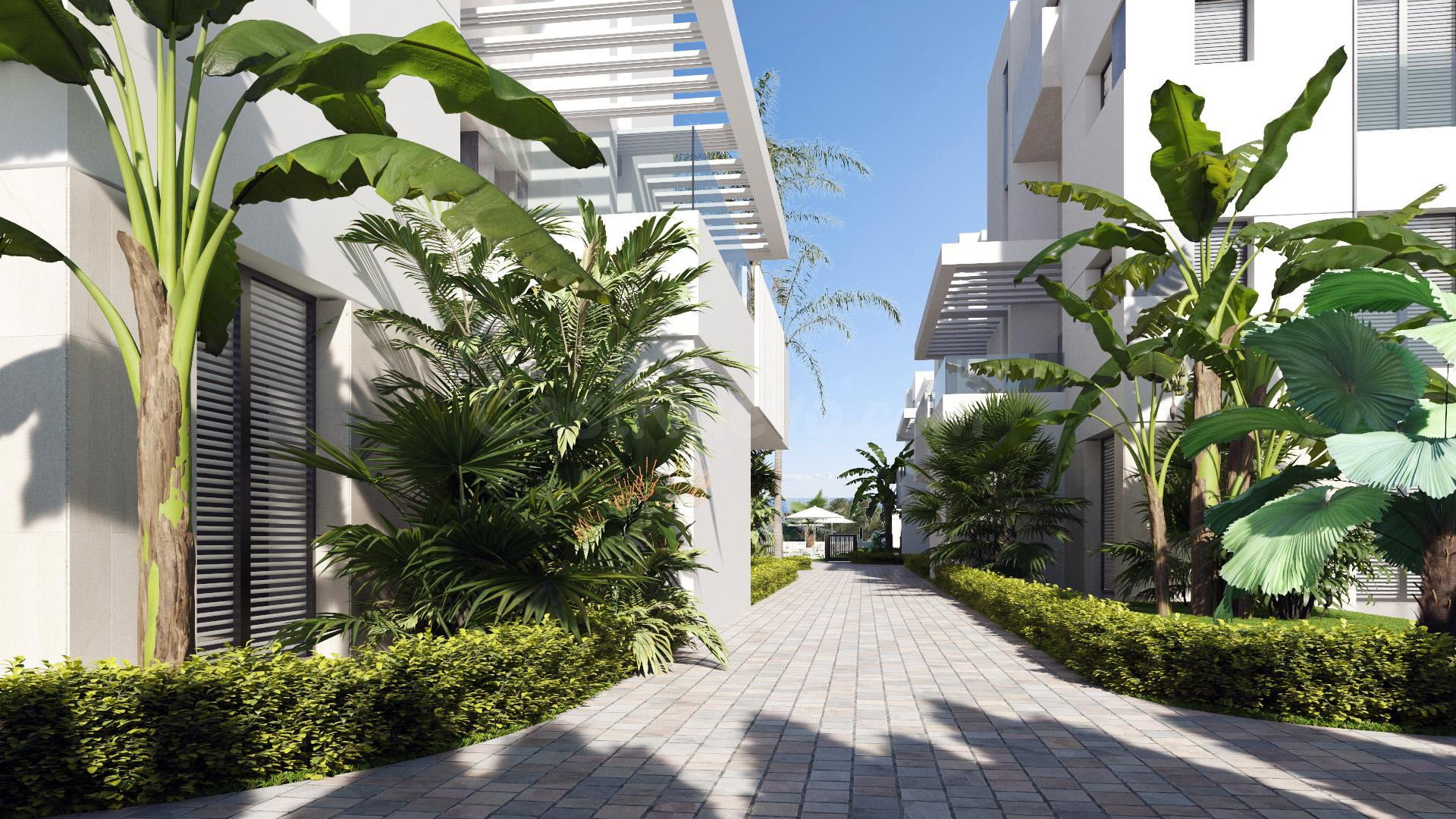 Ático 3 habitaciones 112m² en venta - Dolores de Pacheco-Santa Rosalía