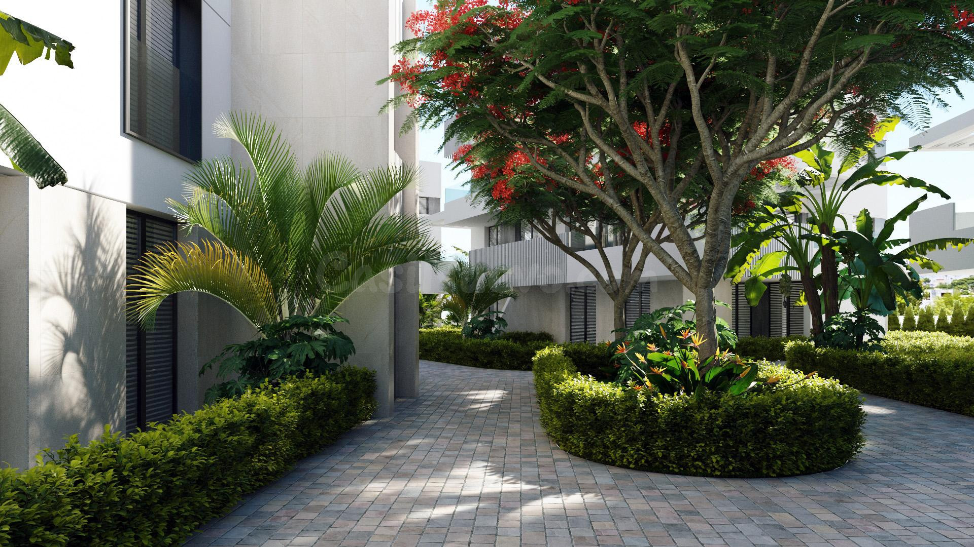 Ático 3 habitaciones 112m² en venta - Dolores de Pacheco-San - foto 3