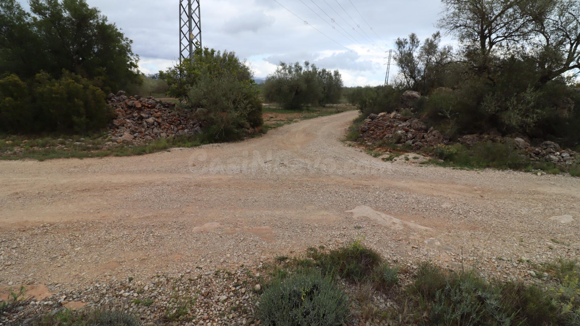 Finca de olivos - foto 3