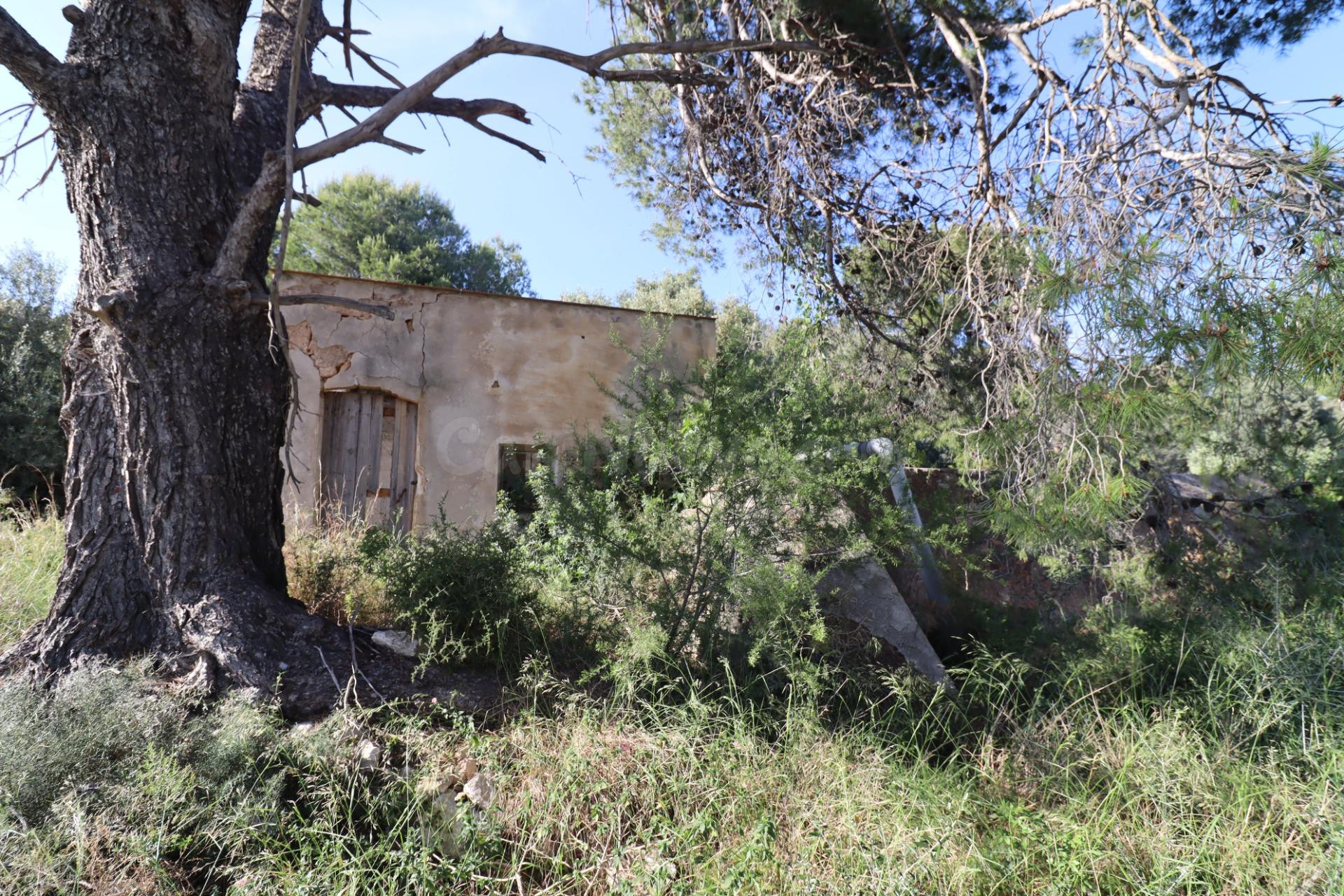 Finca con casa para rehabilitar en les Calafes