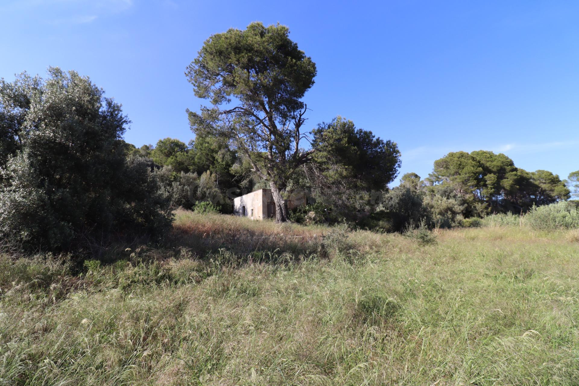 Finca con casa para rehabilitar en les Calafes - foto 4