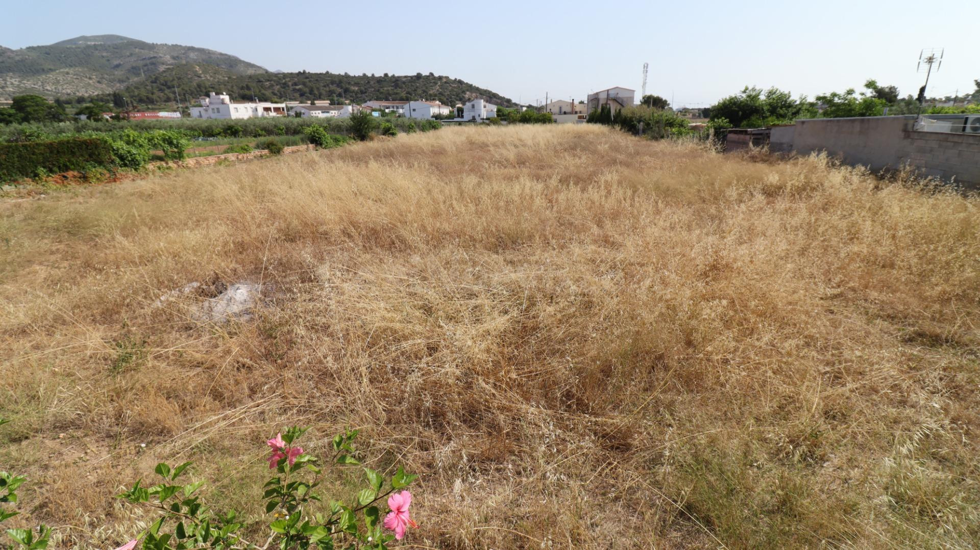 Terreno urbanizable en Las Casas de Alcanar - foto 3