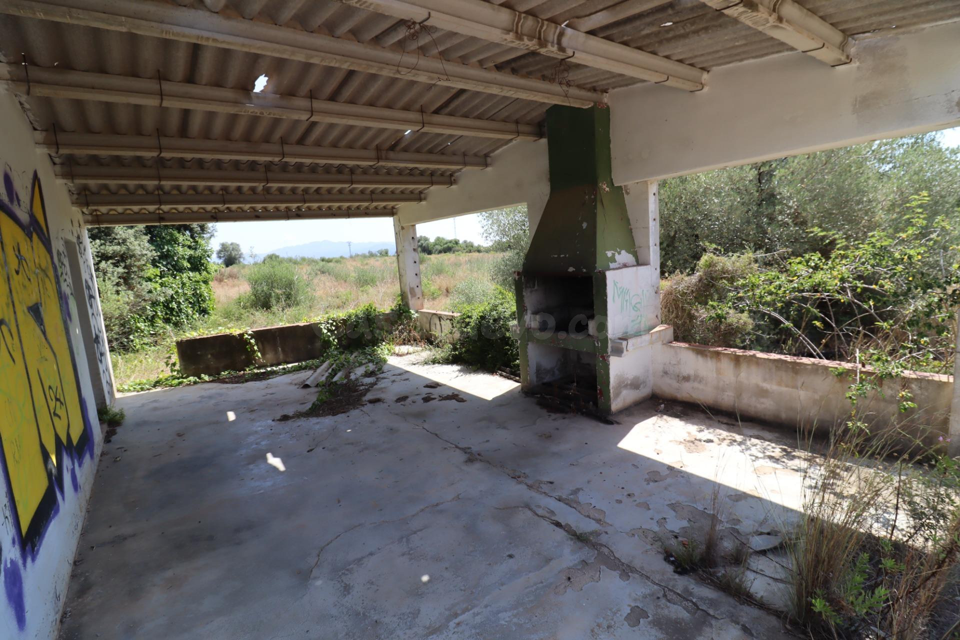 Campo de regadío - foto 2