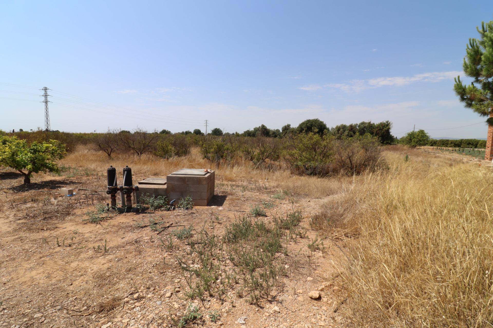 Finca a dos minutos de Alcanar - foto 3