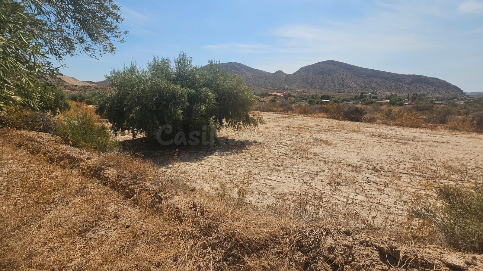 Parcela rústica de 15.210 m2 en La Alcoraya – Naturaleza, espacio y posibilidades
