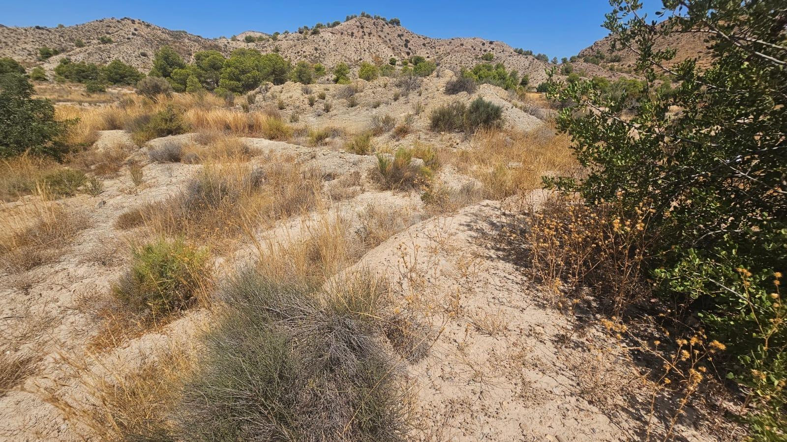Parcela rústica de 15.210 m2 en La Alcoraya – Naturaleza, es - foto 4