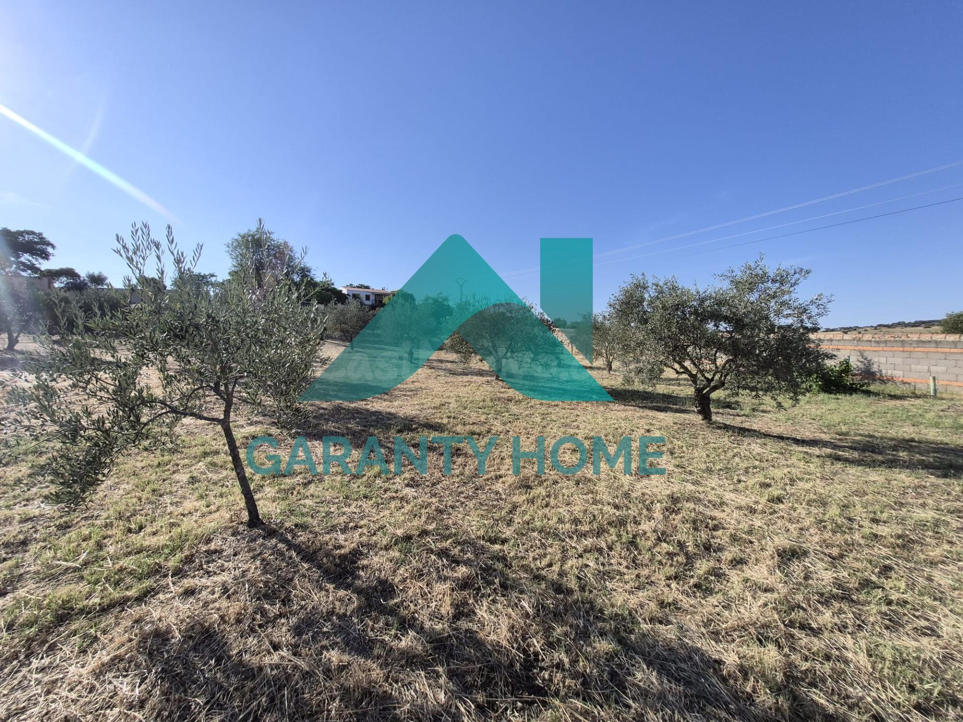 **PARCELA EN VENTA EN POLÍGONO GANADERO (CÁCERES)** ✨ - foto 5