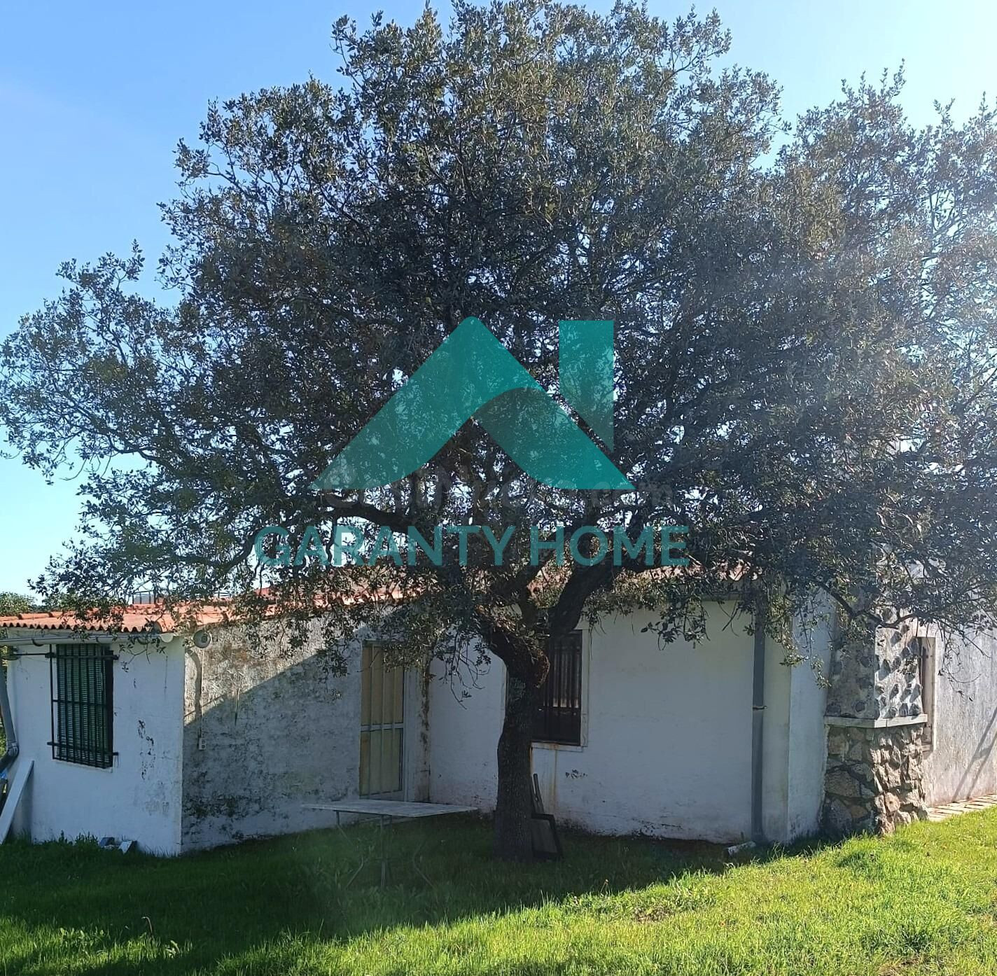 PARCELA CON VIVIENDA EN VENTA – URBANIZACIÓN MONTE ALMEIDA ✨ - foto 2