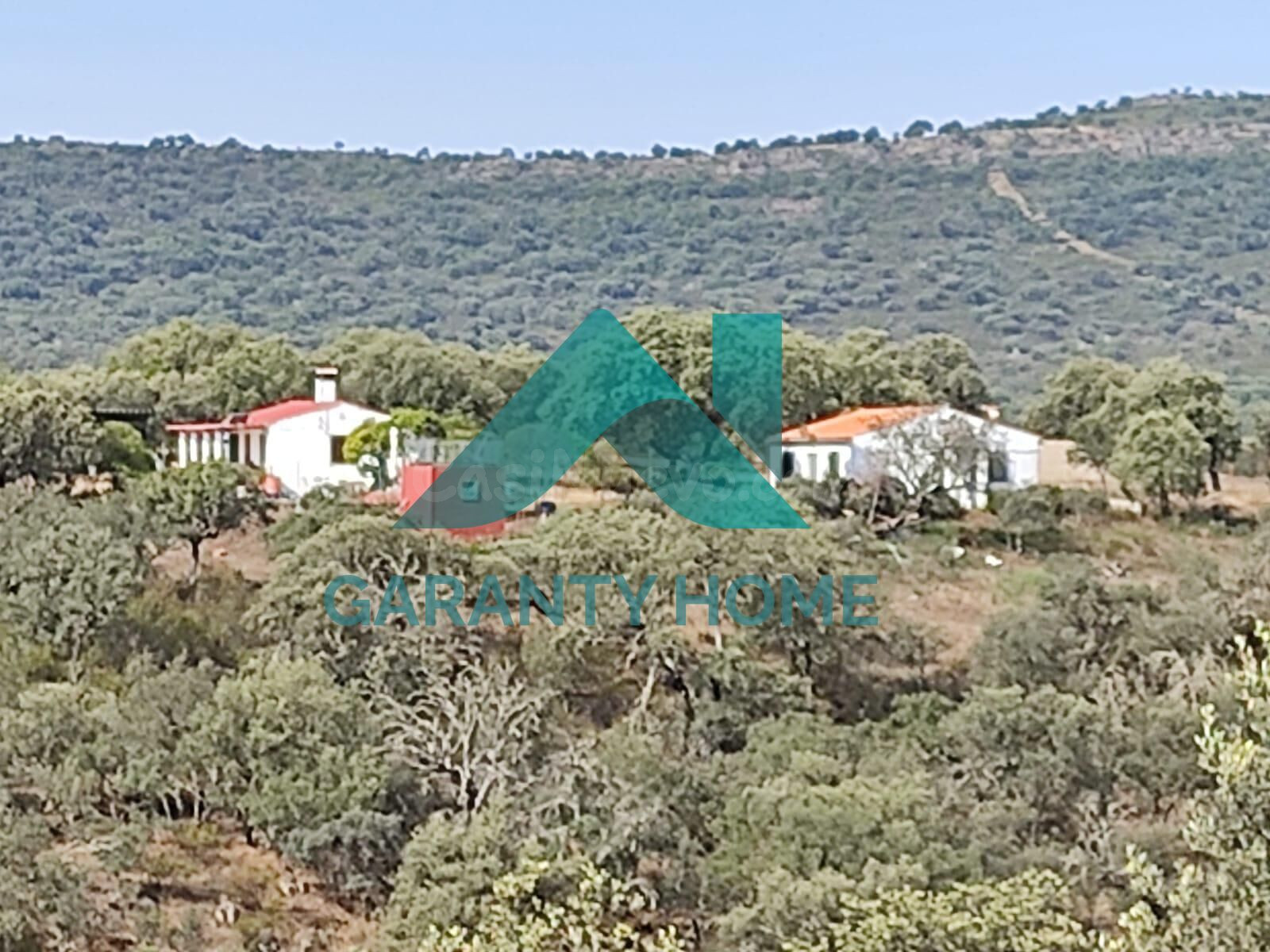PARCELA CON VIVIENDA EN VENTA – URBANIZACIÓN MONTE ALMEIDA ✨ - foto 3