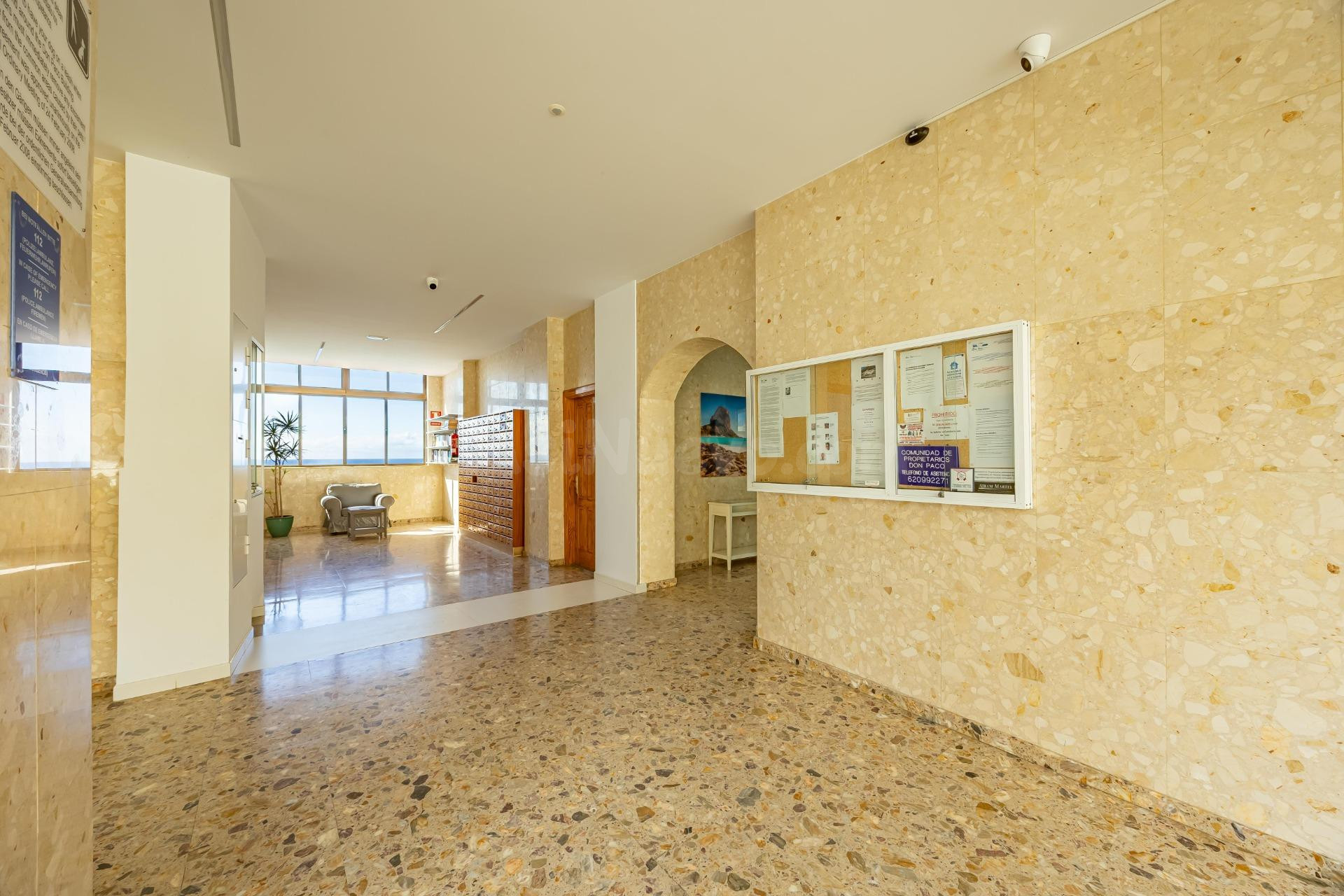 Patalavaca • Estudio excepcional en el Edificio Don Paco - foto 4
