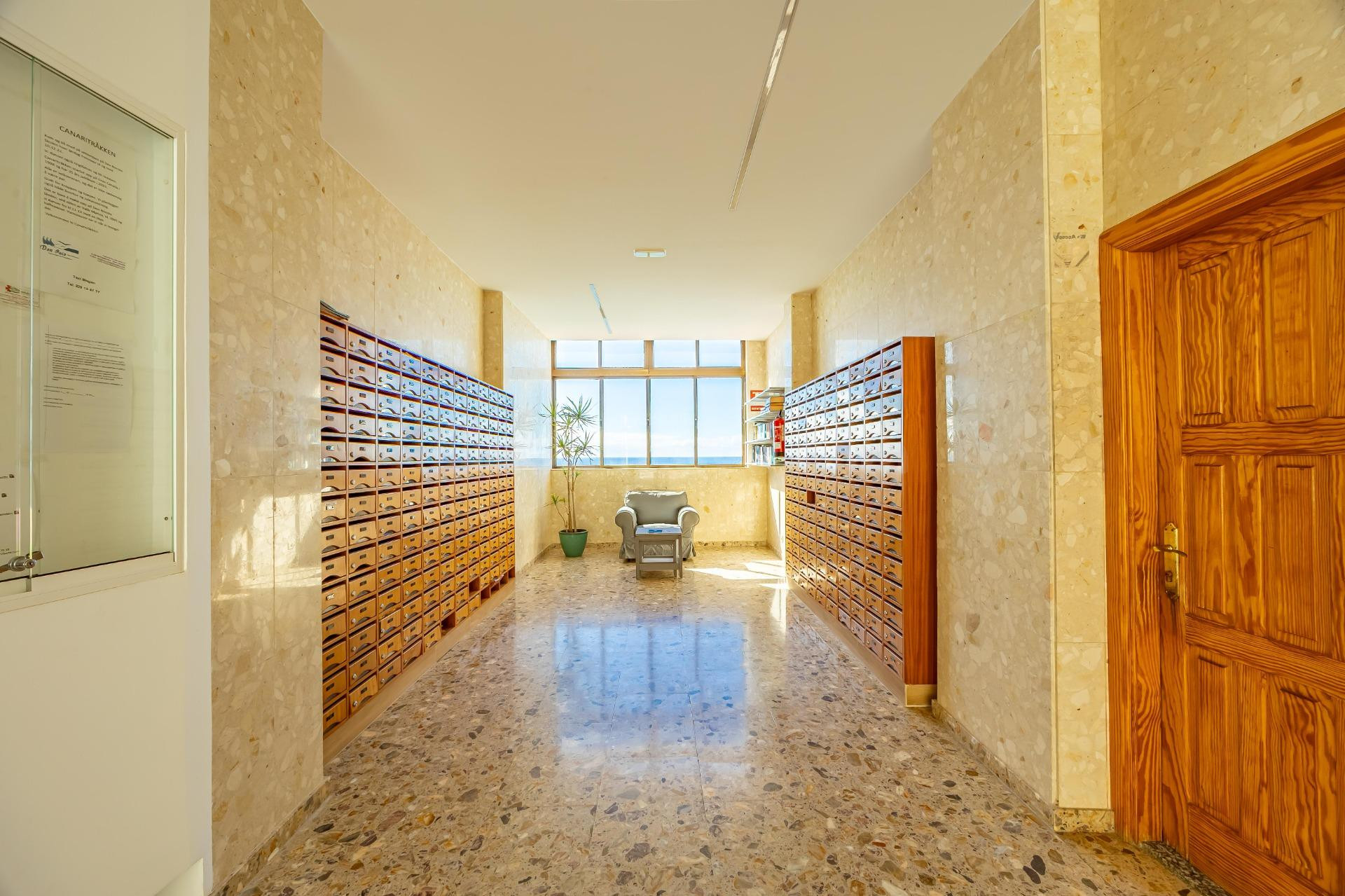 Patalavaca • Estudio excepcional en el Edificio Don Paco - foto 5