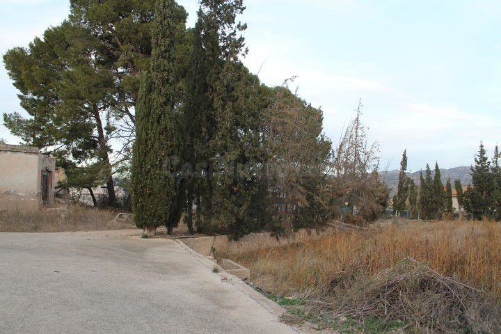 Parcela en venta - Jesús - Els Reguers - foto 2