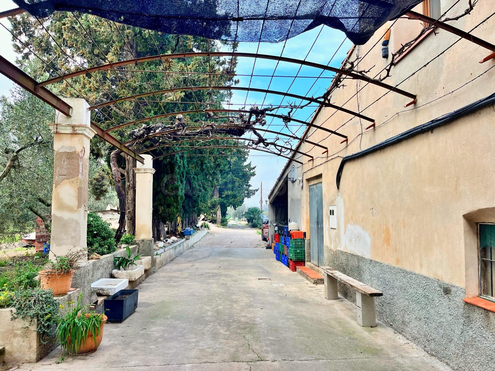 Chalet con finca rústica a 3 minutos del centro de Tortosa – - foto 4