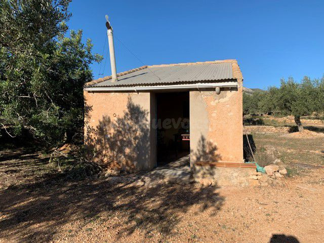 Finca rústica 27m² en venta - Xerta