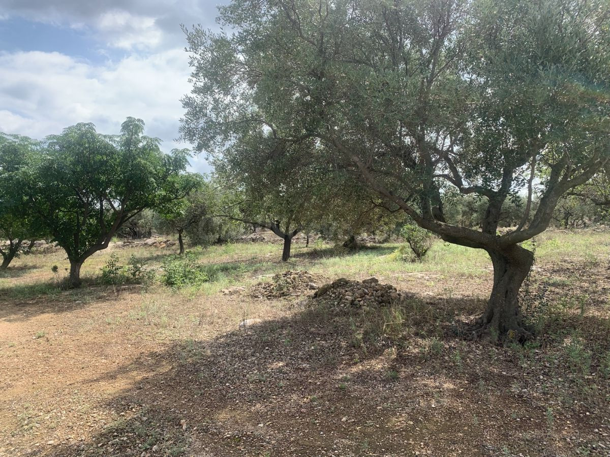 Casa de campo 1m² en venta - Aldover - foto 5